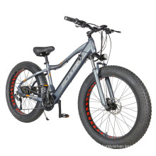 china designer cheap battery 36v  emountain electric bicycle/ european warehouse e bike/new elec bike with pedals